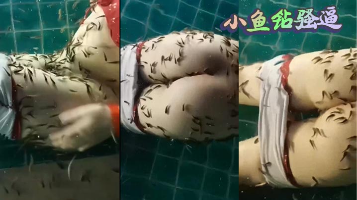 小鱼钻骚逼